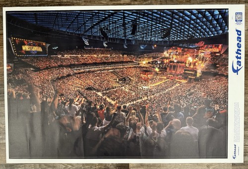New fathead wwe - new, 24x36