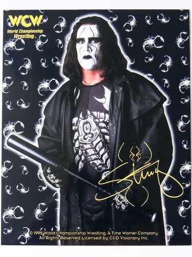 Wcw nwo sting wrestling - nwo,